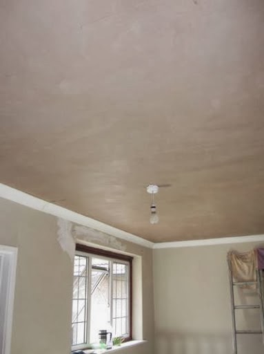 Ace Plaster — Photos 4